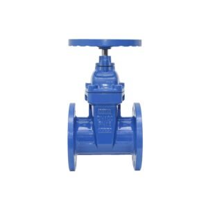 16bar Cast Iron Nrs Resilient Seat Wedge Gate Valve 16bar Cast Iron Nrs Resilient Seat Wedge Gate Valve