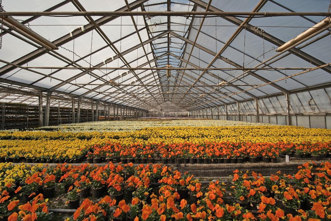 840 Model Greenhouse Dedicated Transparent FRP Roof Sheet