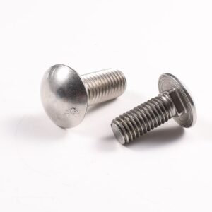 ASME High Strength Steel Bolt and Nut Stainless Steel Carriage Bolt Anchor Bolt Stud Bolt