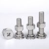 Ball/Head Machine/Pan Head Machine/Flat Head Machine/Barrel/Making Machine Self Tapping/Precision Ball/Stainless Steel/Roofing/Lead/Countersunk Machine Screw