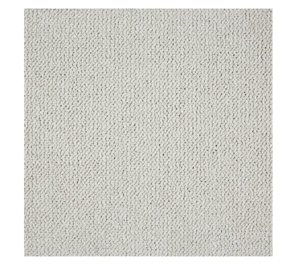 Belgotex Living Matter Immerse Carpet Assorted 4000 mm â€” Builders Store SA