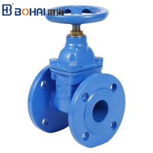 Brass Seal High Quality Gate Valve Pn16