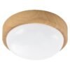 Bright Star Lighting CF128 LED Ceiling Light 20 W â€” Builders Store SA