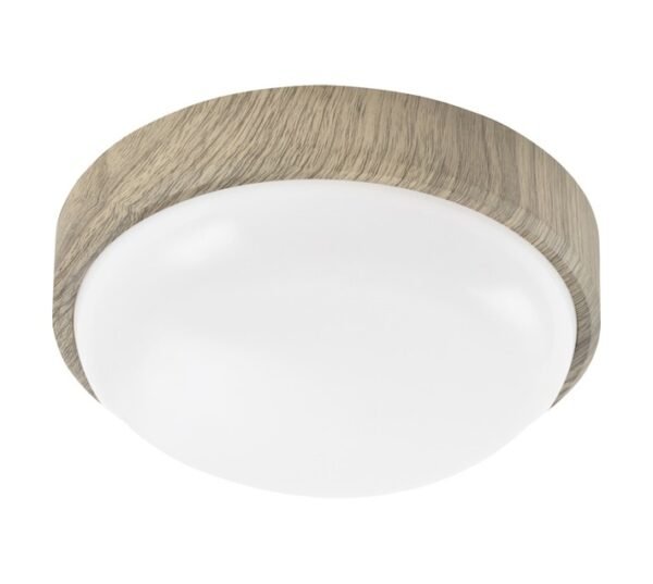 Bright Star Lighting CF130 LED Ceiling Light 20 W â€” Builders Store SA