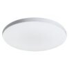 Bright Star Lighting CF131 LED Colour Changing Ceiling Light â€” Builders Store SA