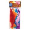 Dala 150mm Feathers Assorted 20 Piece â€” Builders Store SA