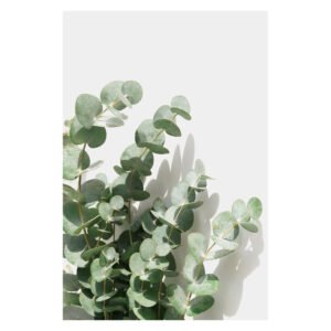 Design House Leaves Canvas Green 900 x 600 mm Design House Leaves Canvas Green 900 x 600 mm — Builders Store SA