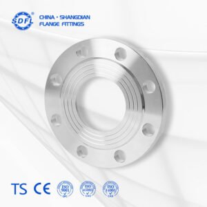 Durable 12 Inch ANSI B16.5 Plain Flange for Low-Pressure Applications