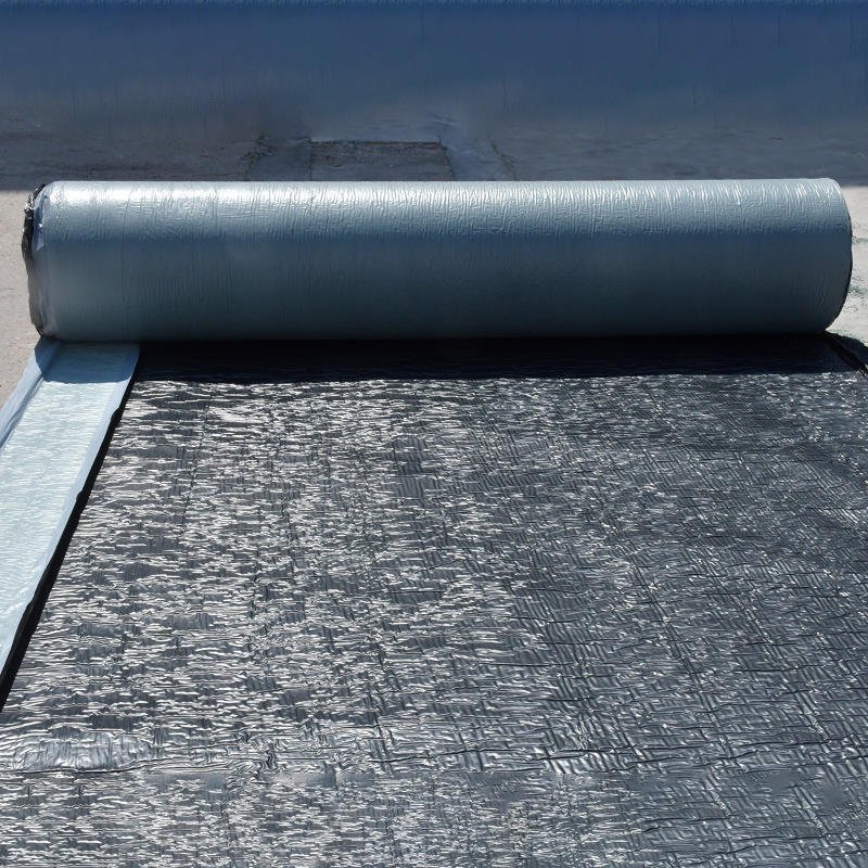 Durable Sbs/APP Bituminous with Reinforcement Waterproof Mem
