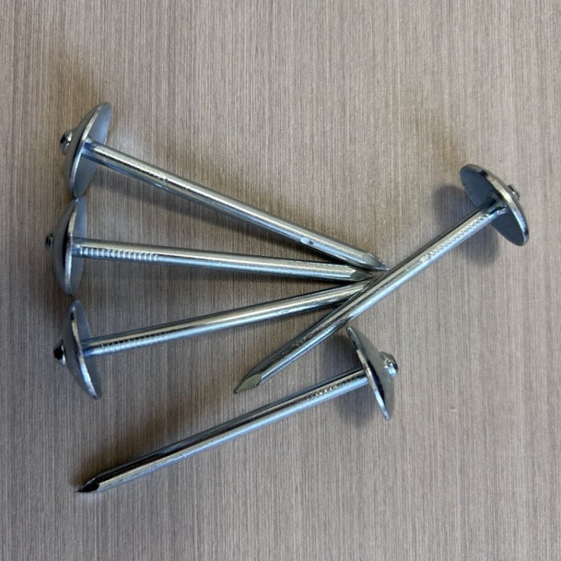 Factory Outlet Flat Head Nail/Wood Nail/Coil Roofing Nail/Um