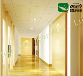 Fiber Cement Board Building Material--Low Density Calcium Silicate Board (ceiling / partition) Fiber Cement Board Building Material--Low Density Calcium Silicate Board (ceiling / partition)