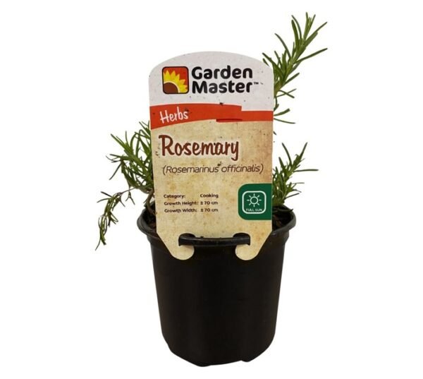 Garden Master GM5042 Rosemary Tuscany Herb Pot 120 mm â€” Builders Store SA
