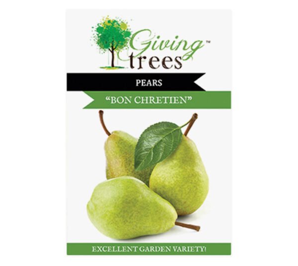 Giving Trees Pear Fruit Tree 10 L â€” Builders Store SA