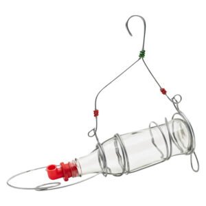 Kirchhoffs Glass Nectar Feeder Clear 750 ml â€” Builders Store SA