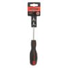 Mastercraft GSSD0032 Chrome T10 Torx Screwdriver 100 mm â€” Builders Store SA