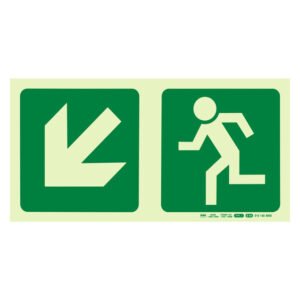 Parrot Products Photoluminescent E14 Diagonal Arrow Down and â€” Builders Store SA
