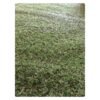 Stefano and Co Jasmine Grass 1500 x 2000 mm Stefano and Co Jasmine Grass 1500 x 2000 mm — Builders Store SA