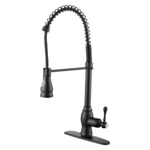 Victoria Kitchen Sink Mixer with Pull Down Sprayer Matt Blac â€” Builders Store SA
