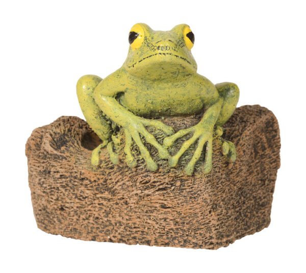 Wildcrete Frog Rain Ornament â€” Builders Store SA